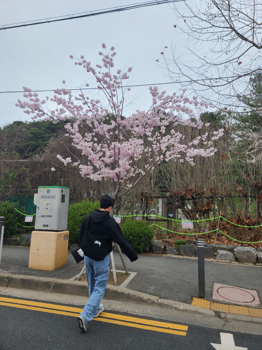 김병관