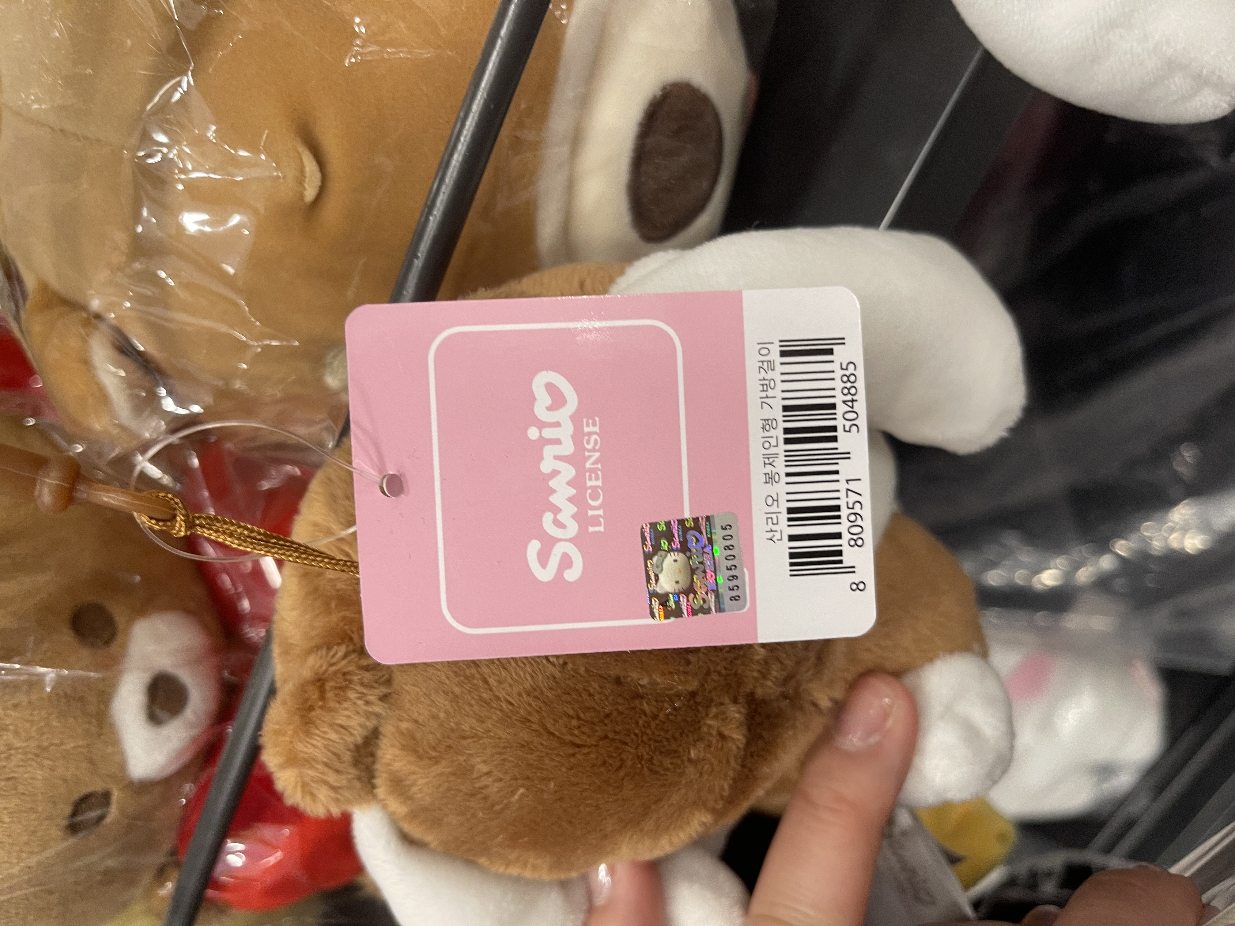 와이키키