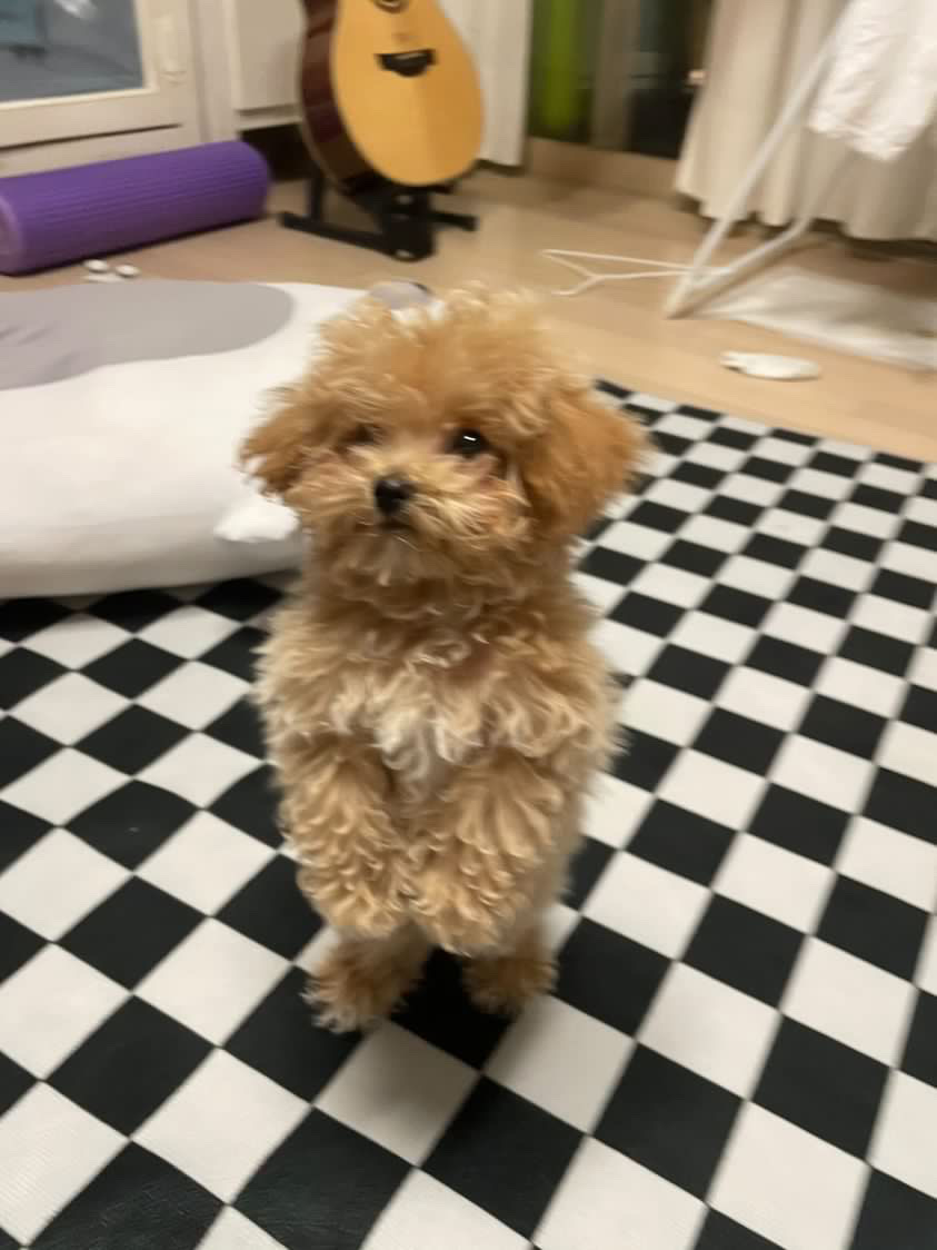 김준