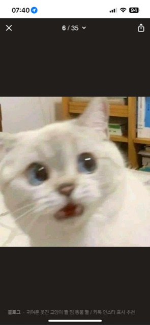 어엉아