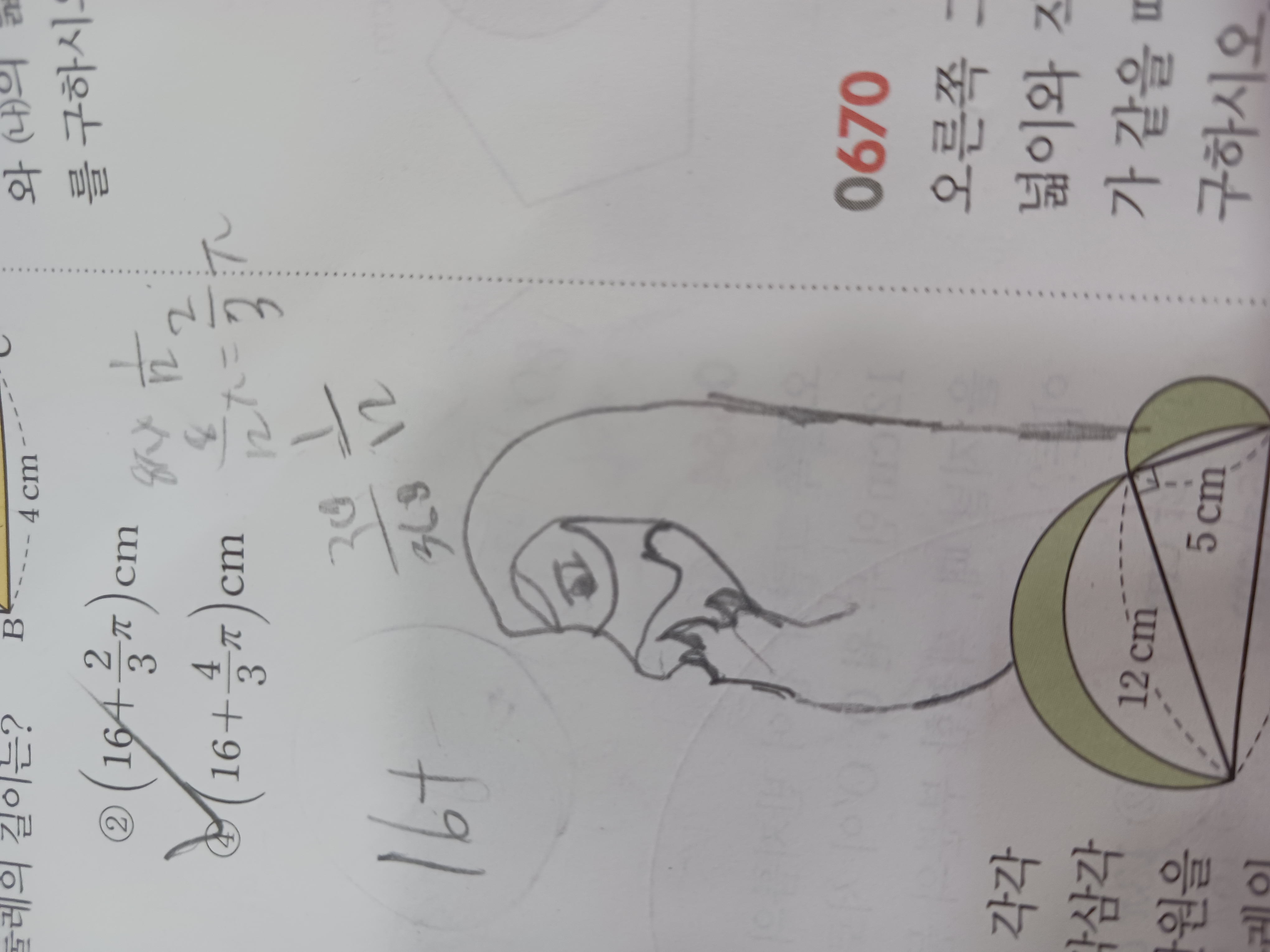 아이누네