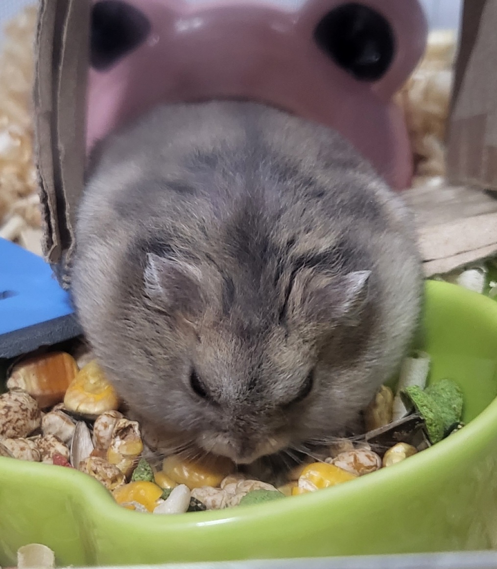 민이맘쩡이