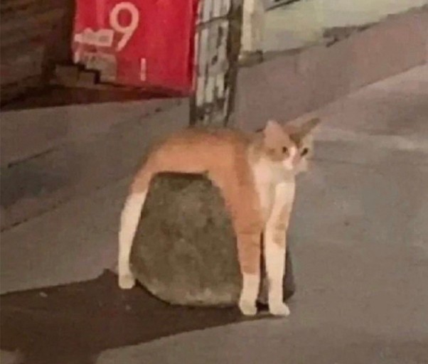 최유진