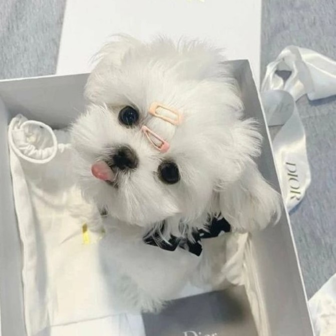 너의봄