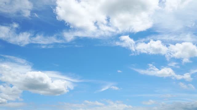 왕초보파랑