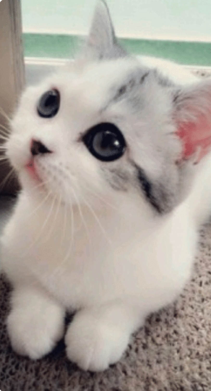 유승진