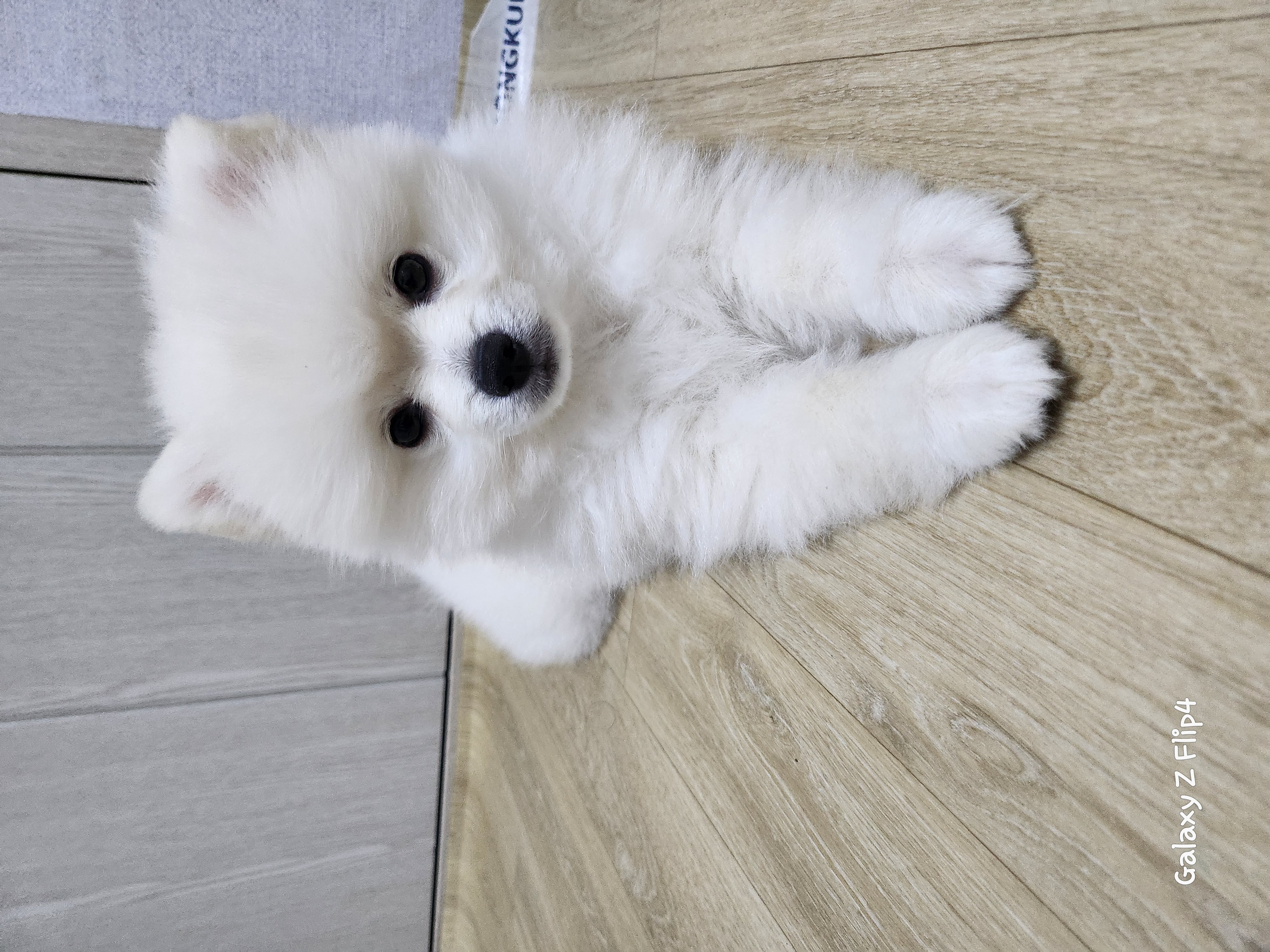 박지숙190908