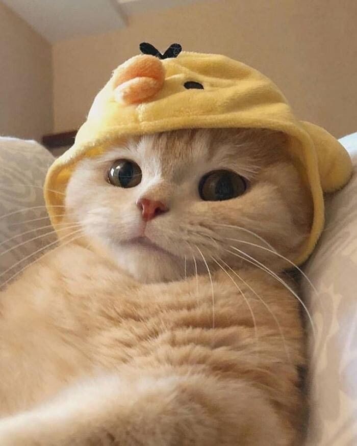 48391