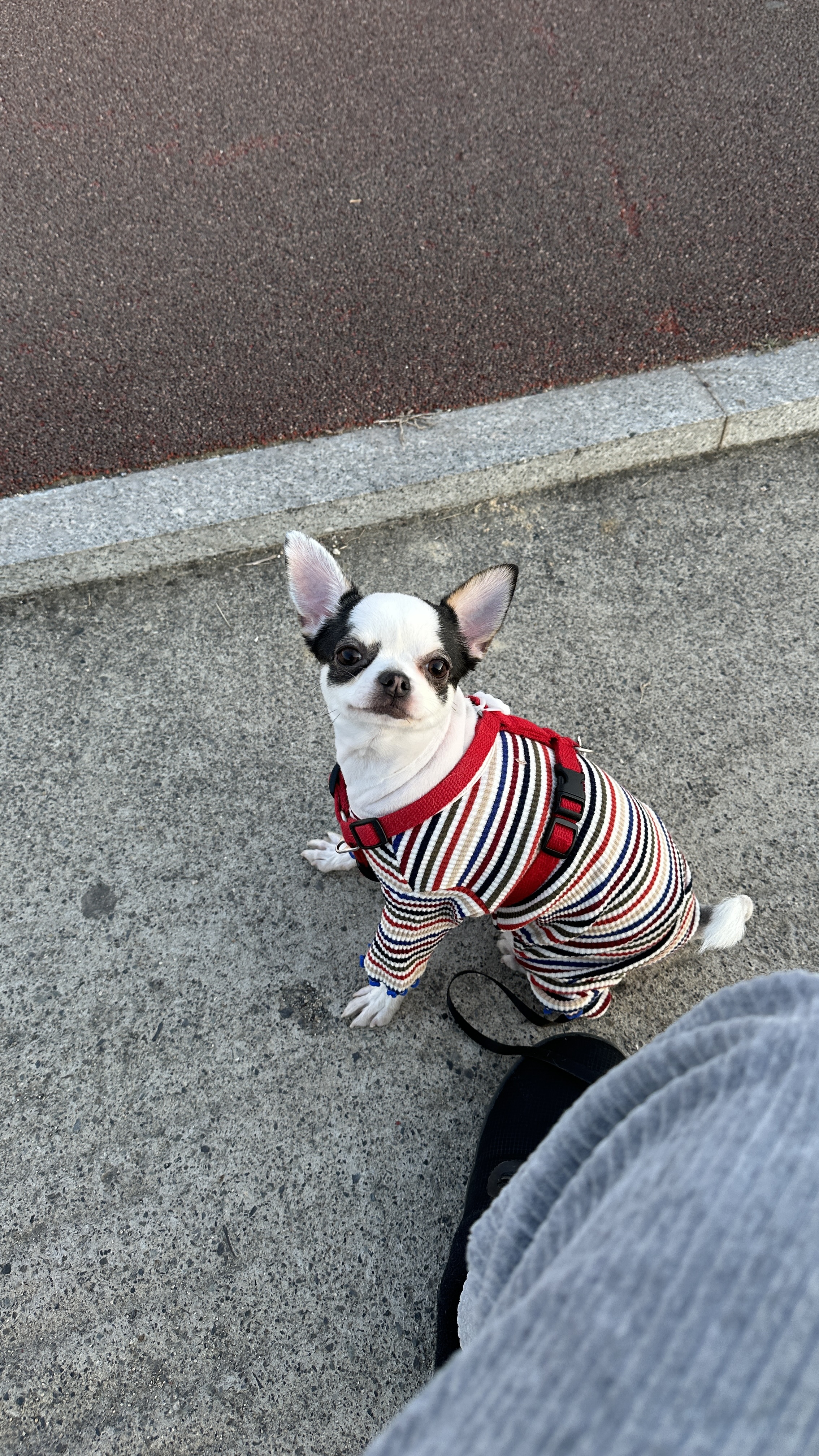 이연진