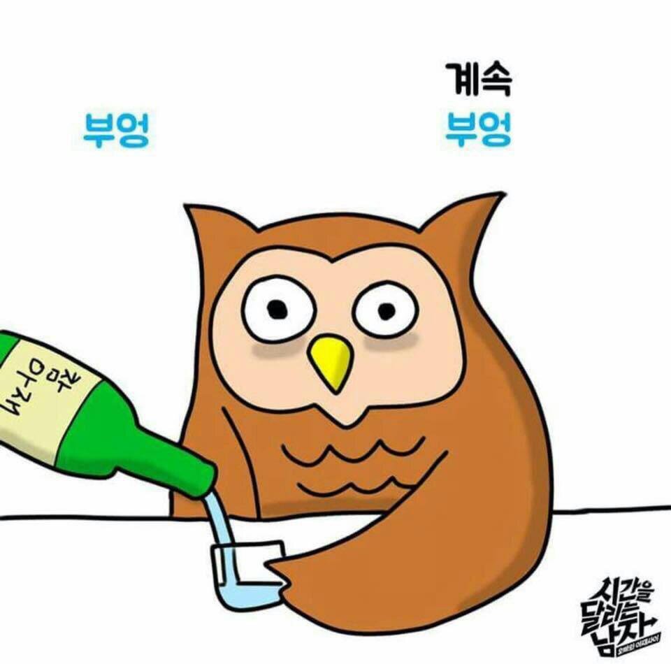 대도시시크남