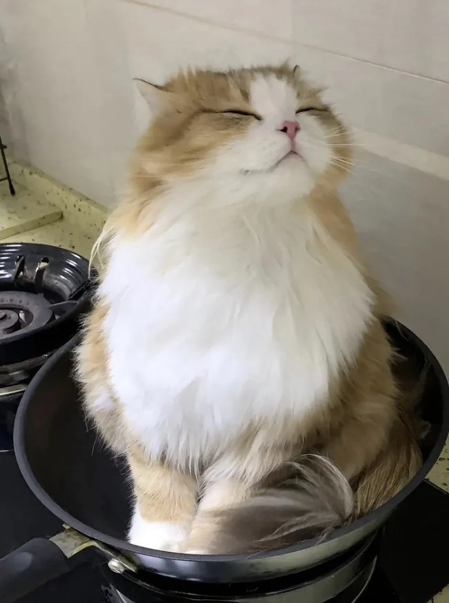 이희원175415