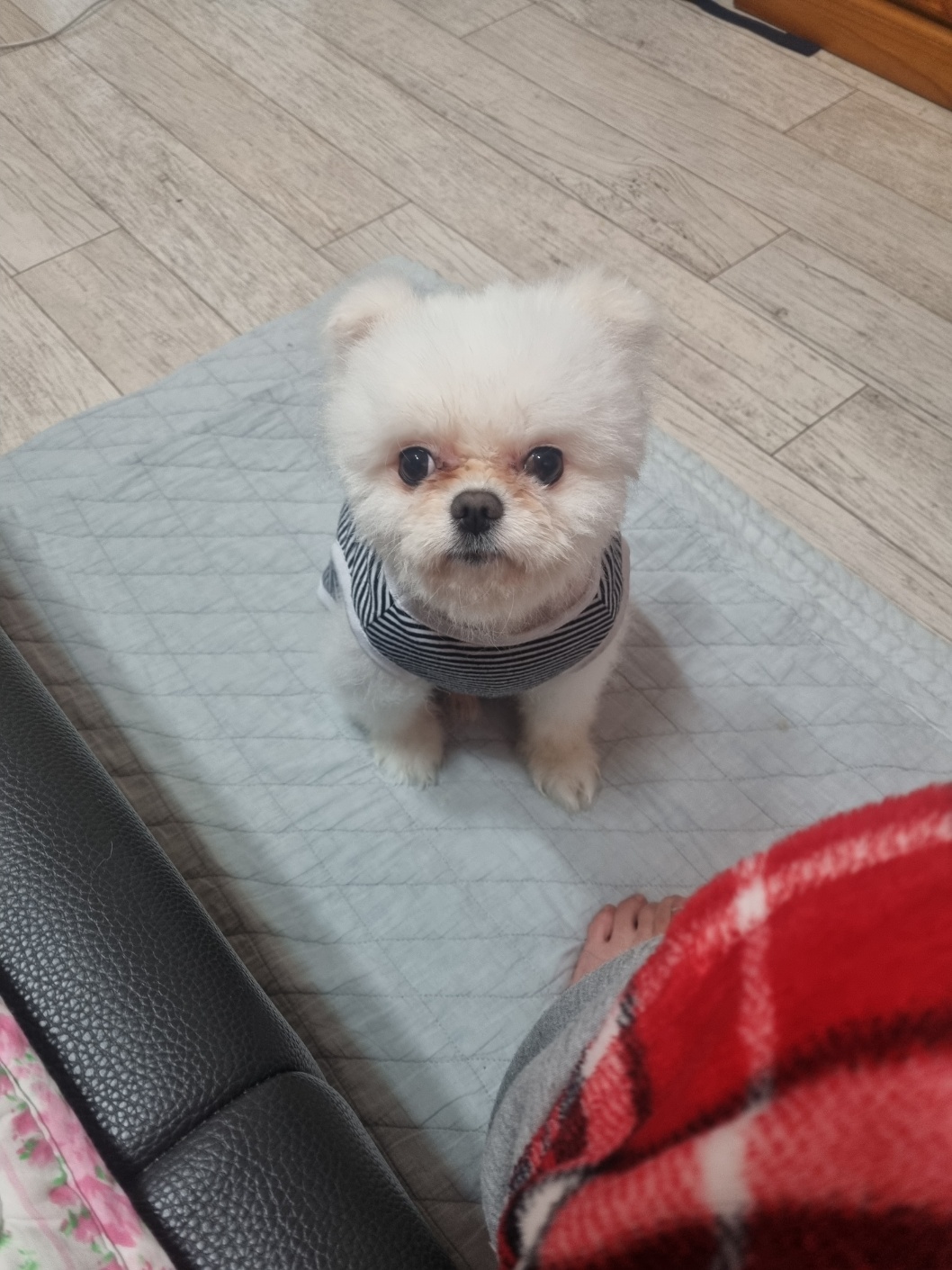 스나이퍼닷