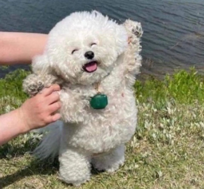 이민