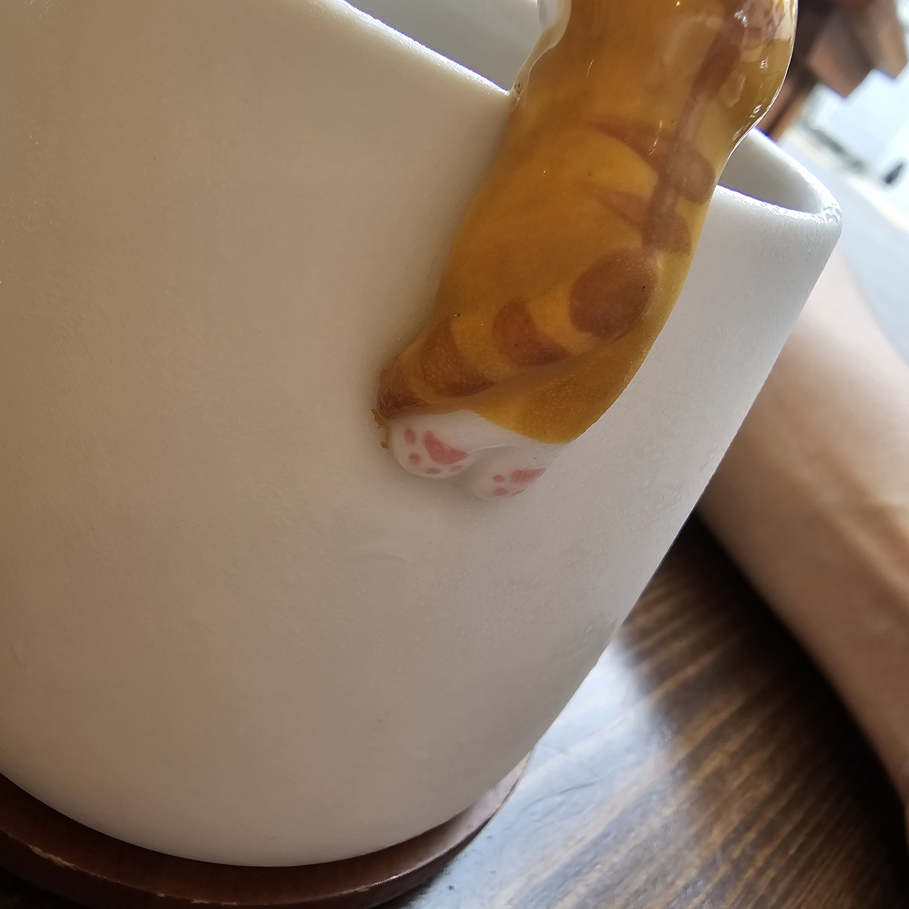 포노포노