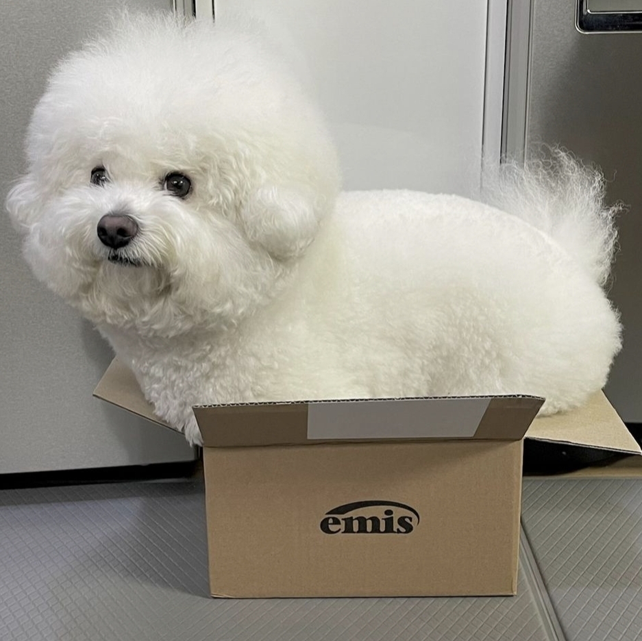 강성길212343