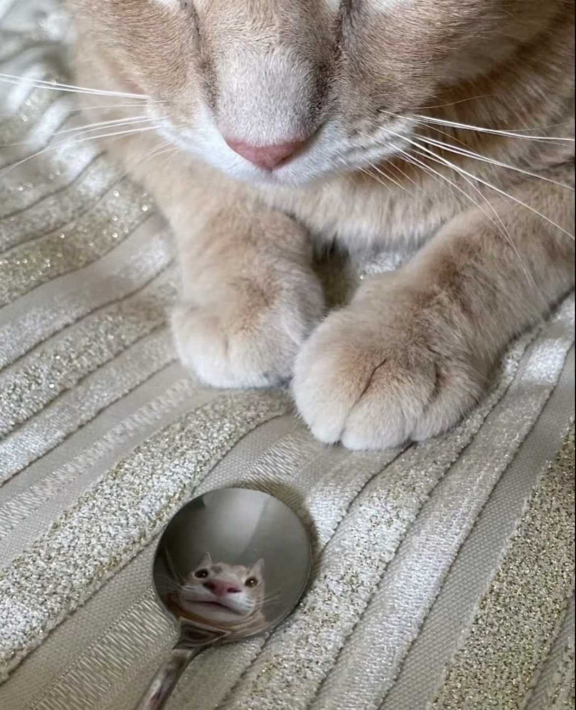 송승은
