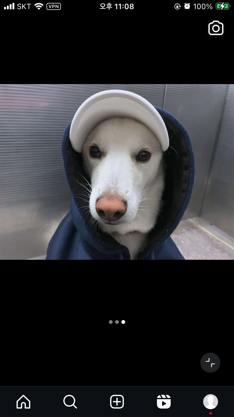 배교빈
