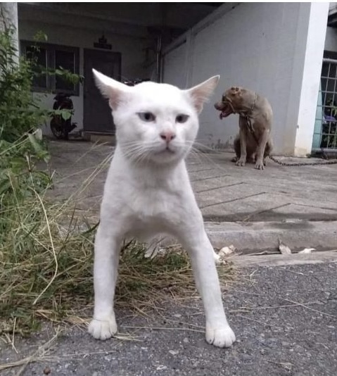 한글영문숫자