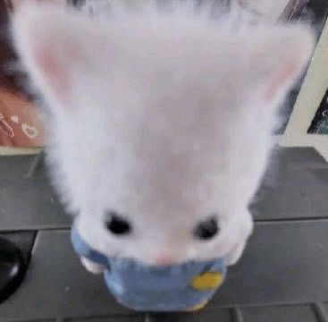 박주혜140135
