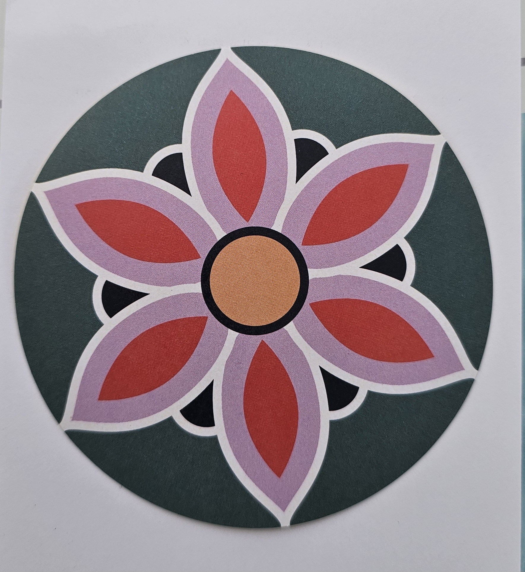 설선애