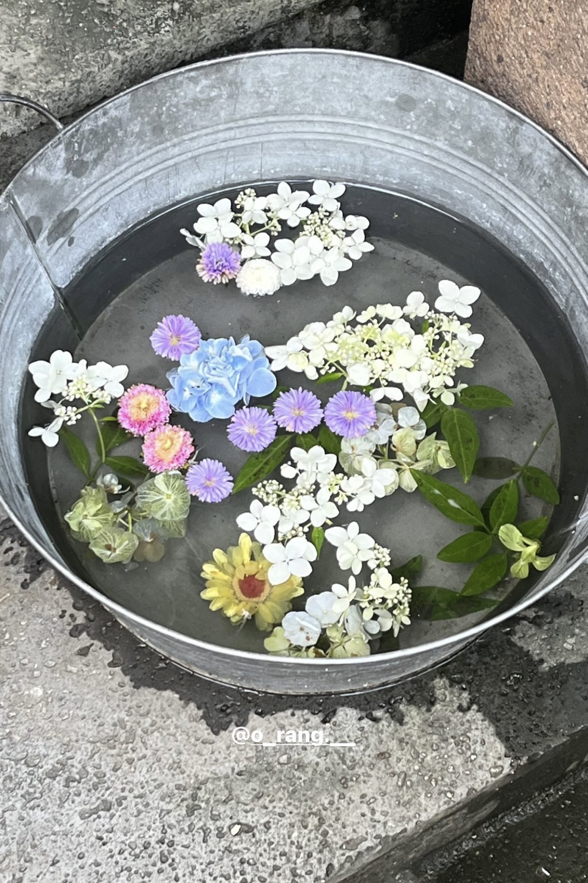 전선영