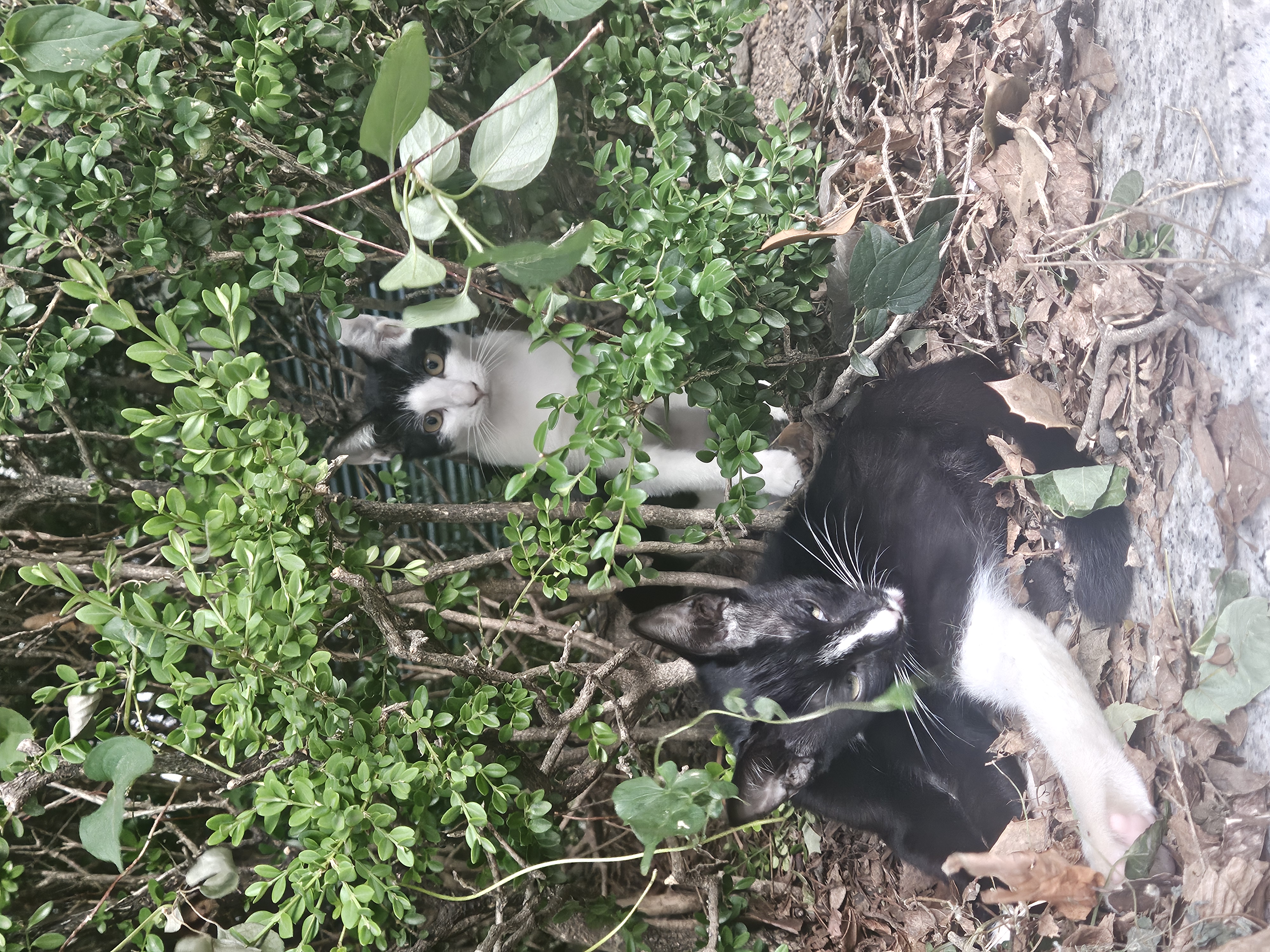 김정민143040